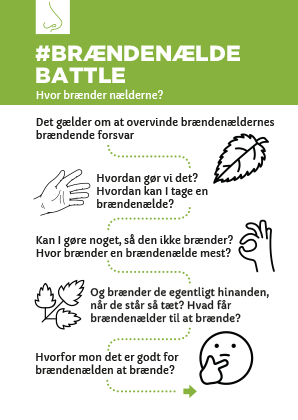 Read more about the article Brændenælde battle