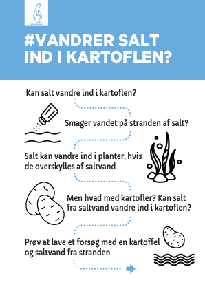 Read more about the article Vandrer salt ind i kartoflen