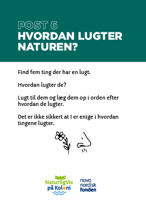 Read more about the article Post 6: Hvordan lugter naturen?