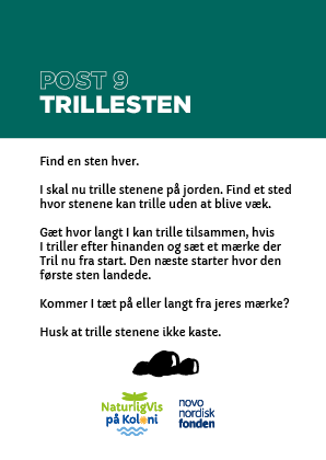 Read more about the article Post 9: Trille sten