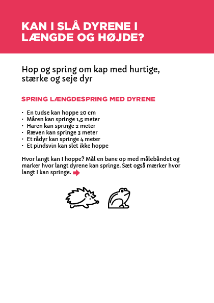 Read more about the article Slå dyrene i længde og højde