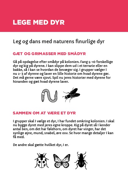 Read more about the article Lege med dyr